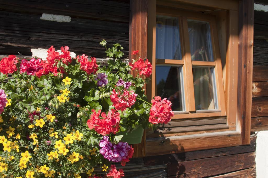 Schrunerhof Ebene Reichenau Bilik gambar