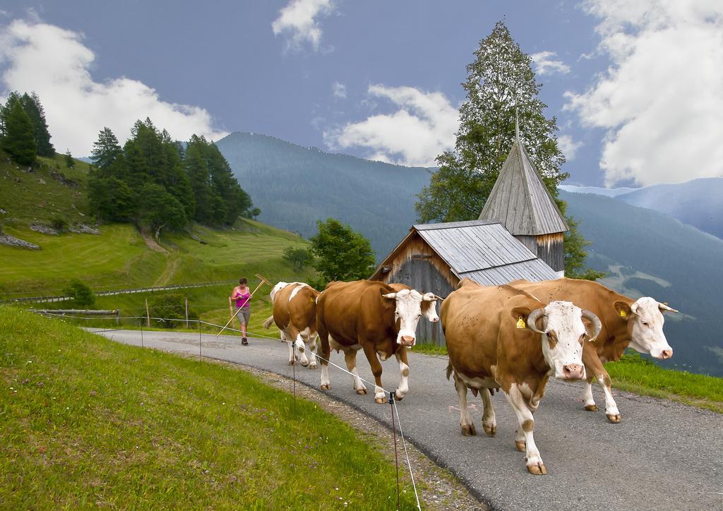 Schrunerhof Ebene Reichenau Bilik gambar