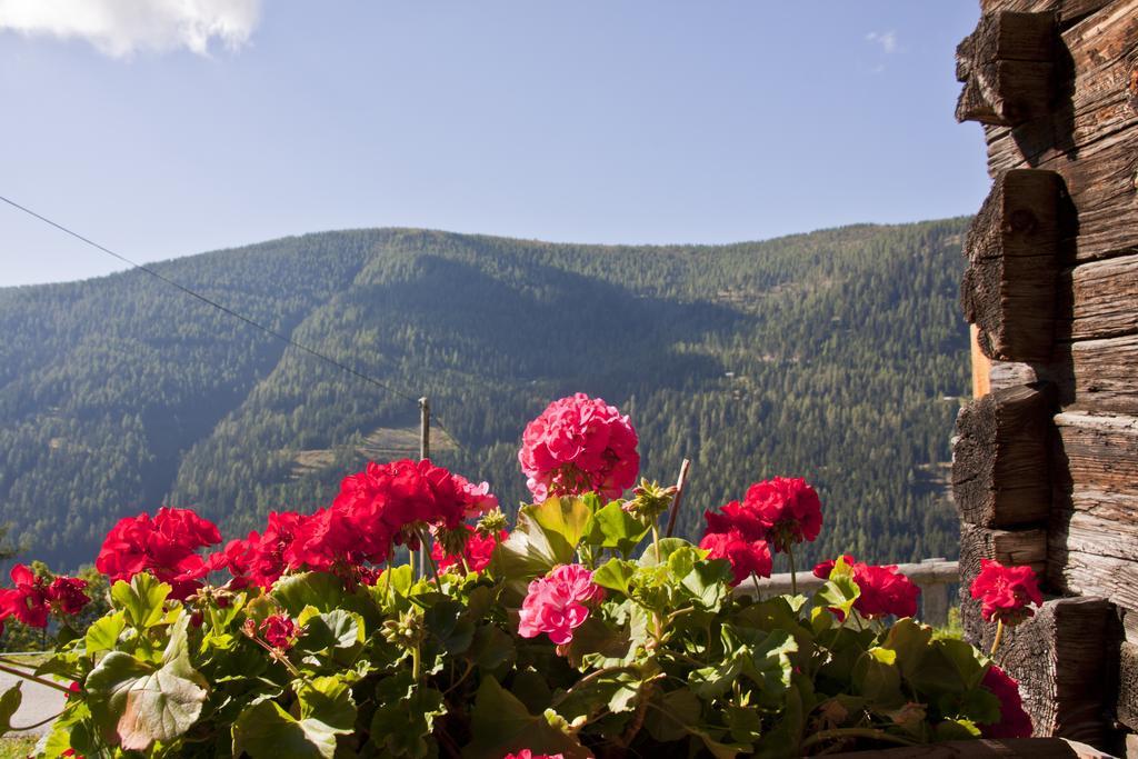 Schrunerhof Ebene Reichenau Bilik gambar