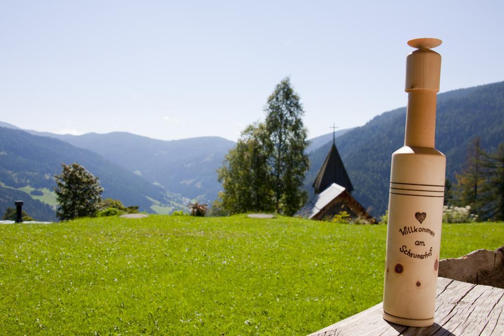 Schrunerhof Ebene Reichenau Bilik gambar
