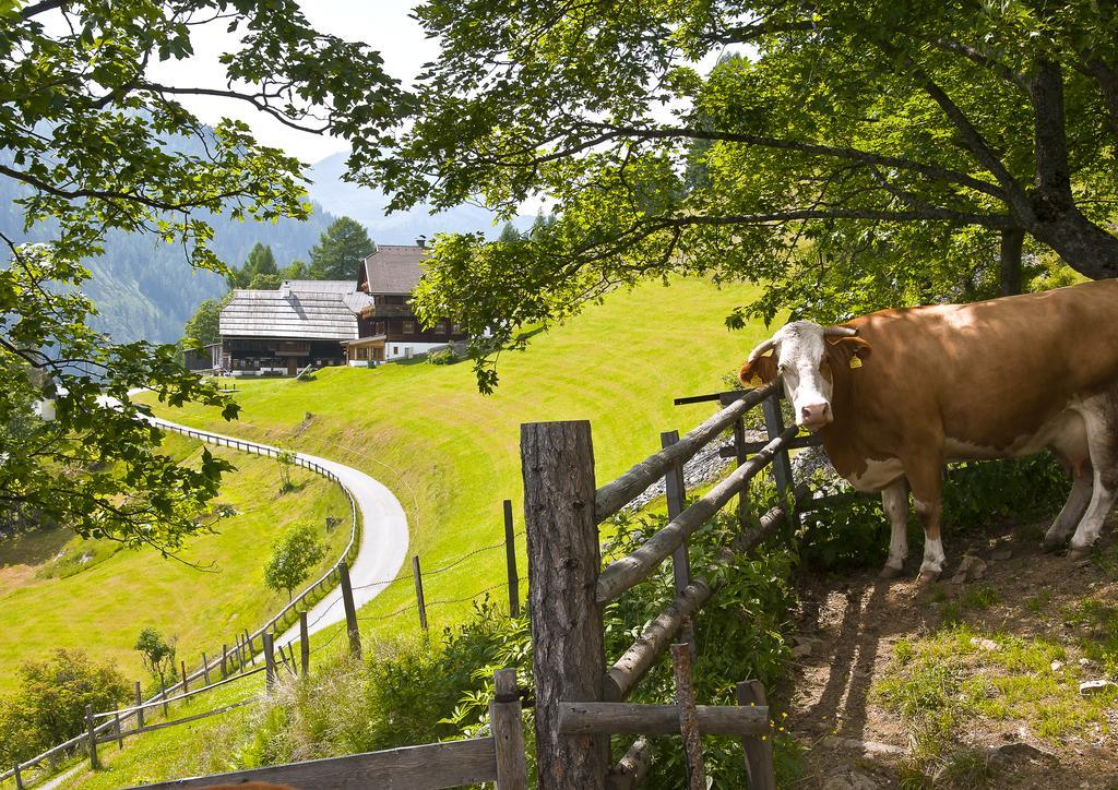 Schrunerhof Ebene Reichenau Luaran gambar